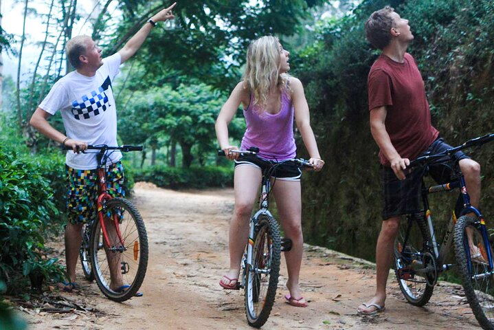 Discover Ancient Ella by Cycling - Photo 1 of 6